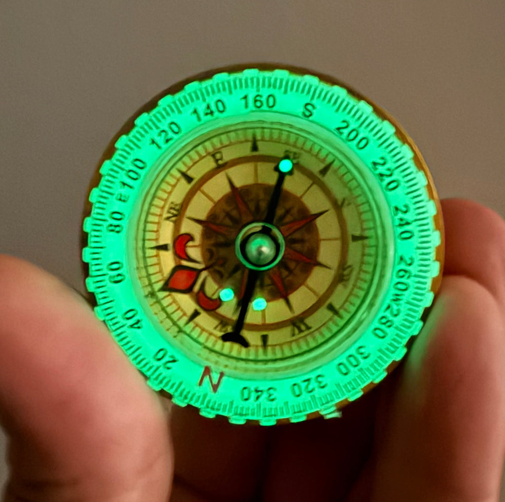 “ The Aviation Bug” Challenge Coin